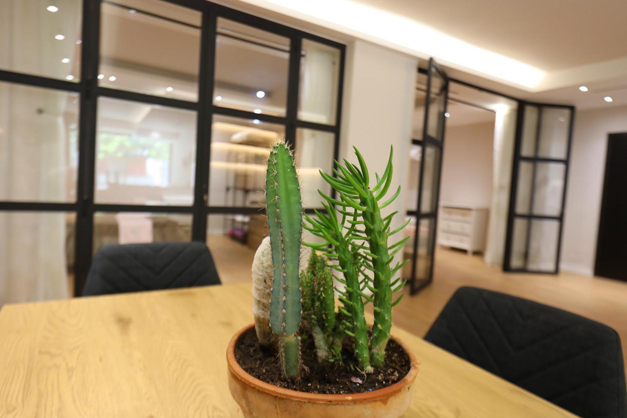 Amantia Apartment Vlore Bagian luar foto